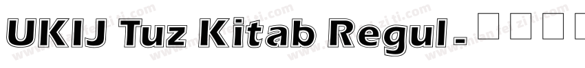 UKIJ Tuz Kitab Regul字体转换